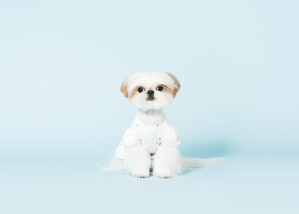 Bohemian Dog Dress