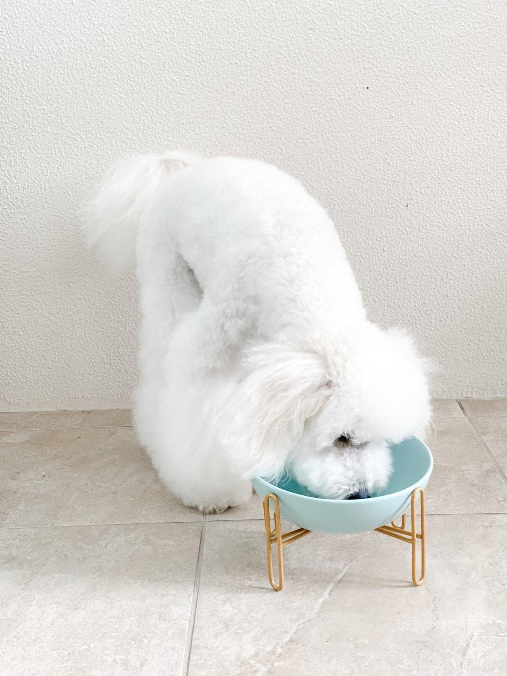 Bronze Stand Ceramic Pet Bowl in Tiffany