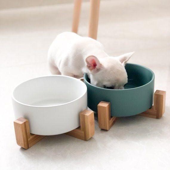 Ceramic Bowl with Wooden Stand in Green