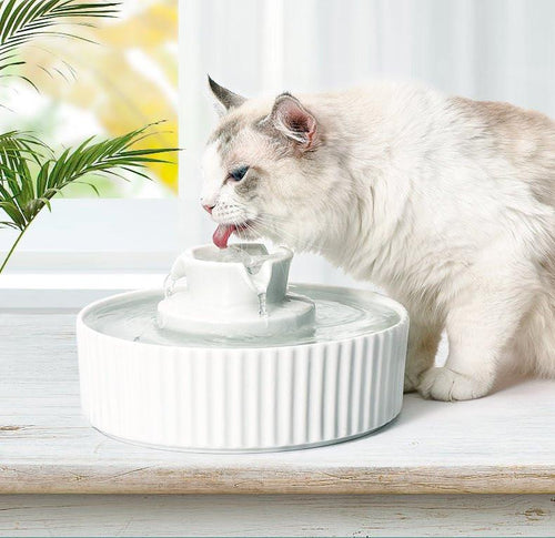 Ceramic Electric Pet Water Fountain 2.1L