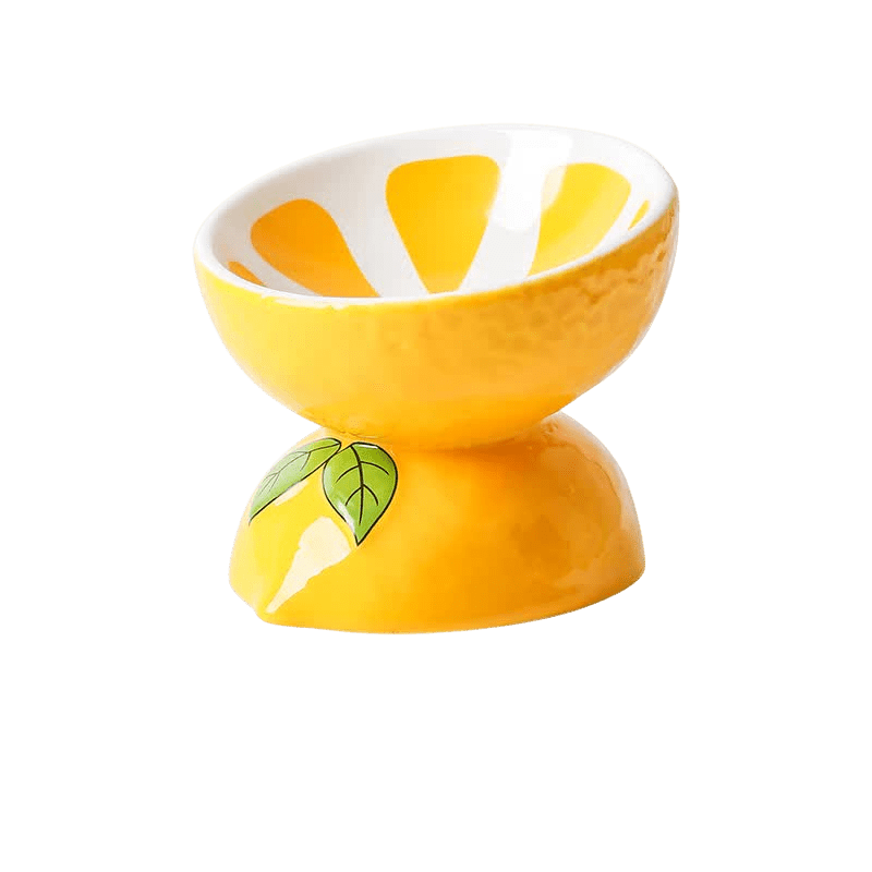 Ceramic Elevated Pet Food Bowl - Lemon