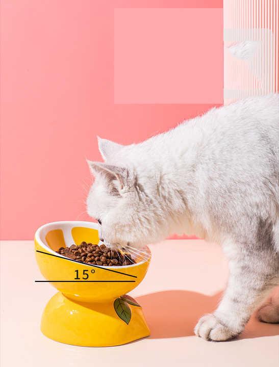Ceramic Elevated Pet Food Bowl - Watermelon