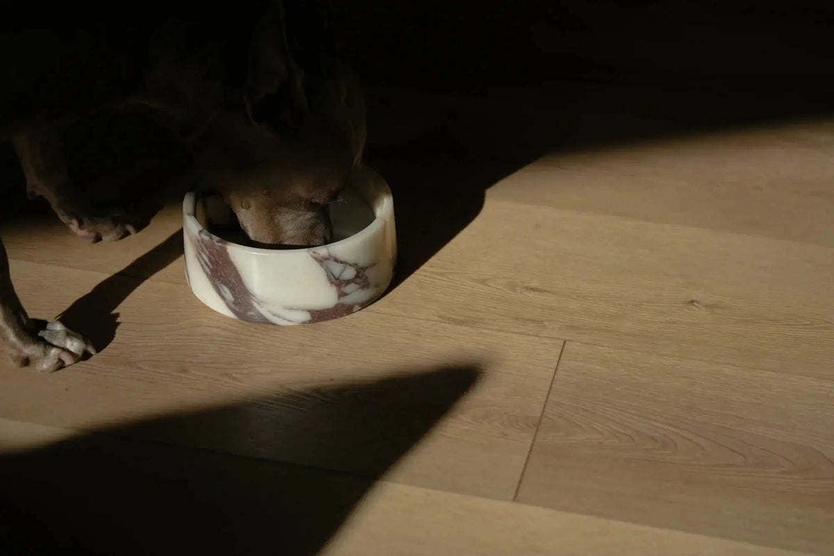 Chloe Marble Dog Bowl - with Stand (Pre-Order)