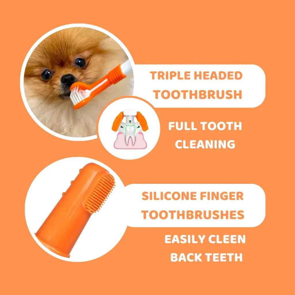Dental Care Kit