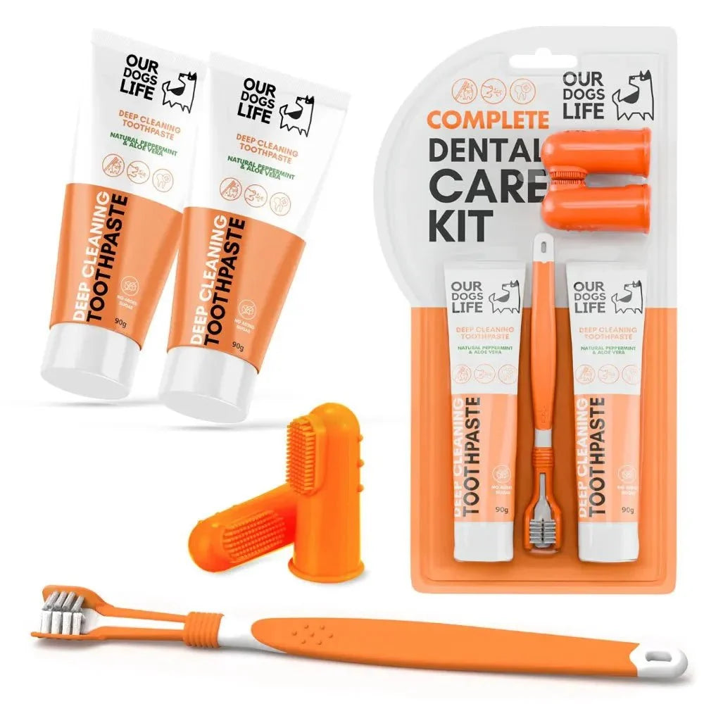 Dental Care Kit