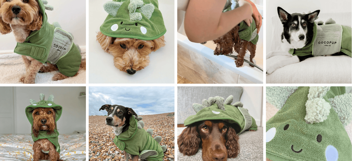 Dinopup Drying Robe