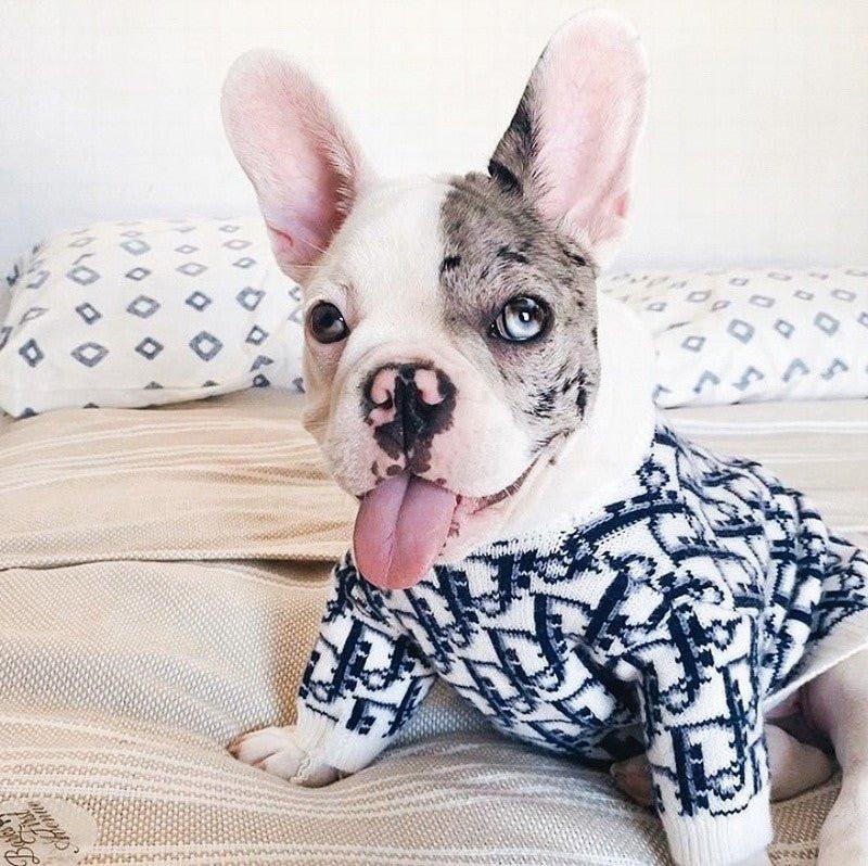 Doggy-ior Dog Sweater