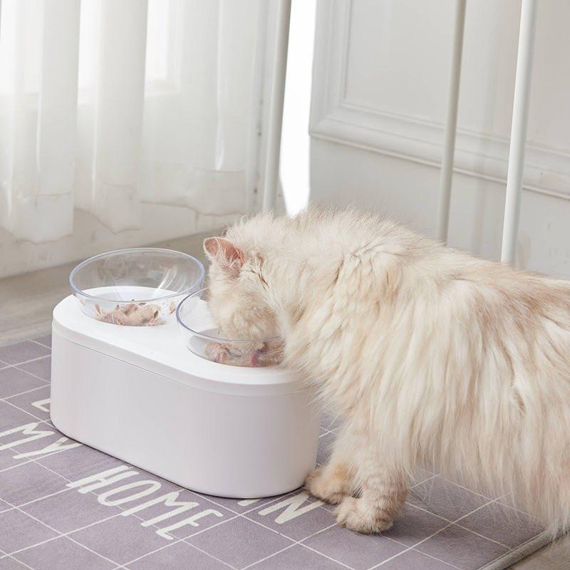 Double Pet Bowl Feeder with Storage Space
