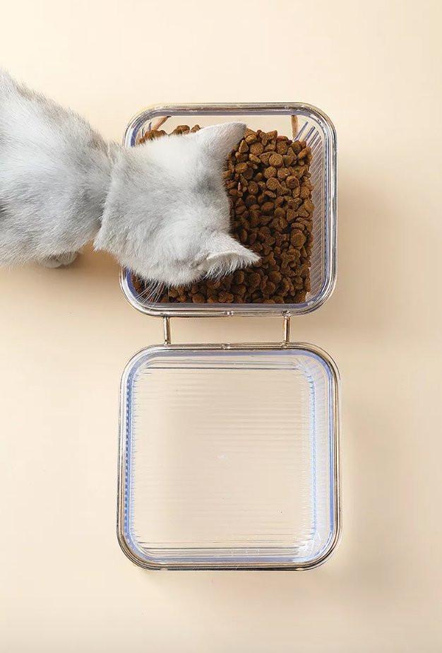 Eva Clear Double Pet Bowl in Gold