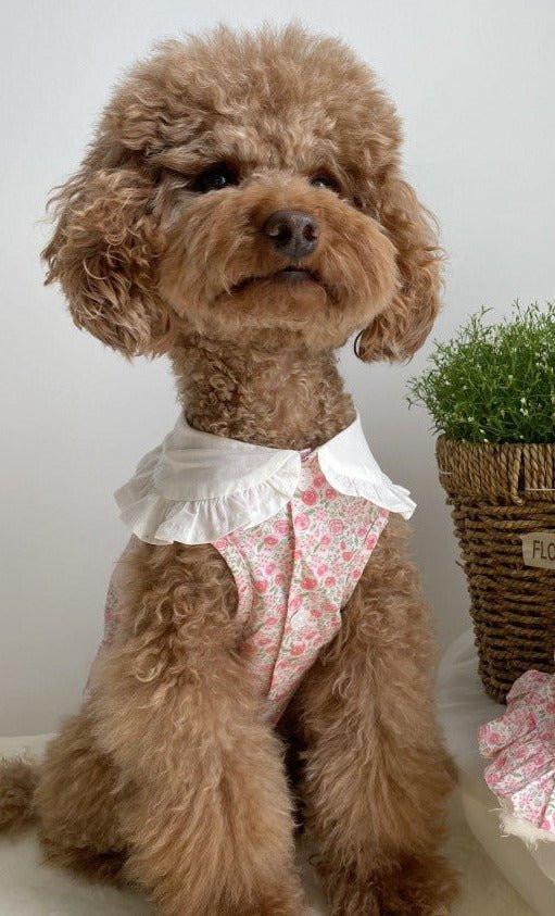 Floral Bohemian Dog Dress