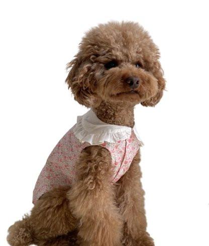 Floral Bohemian Dog Dress