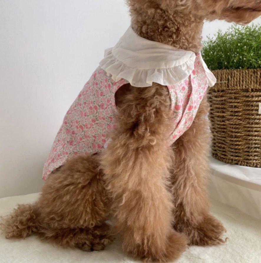 Floral Bohemian Dog Dress