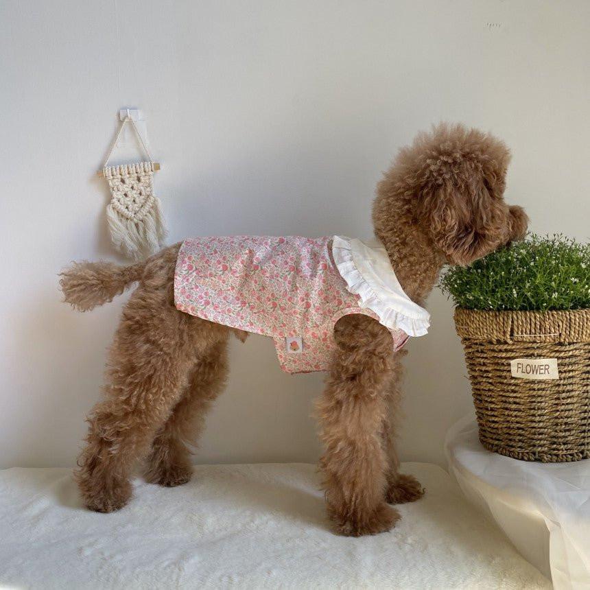 Floral Bohemian Dog Dress