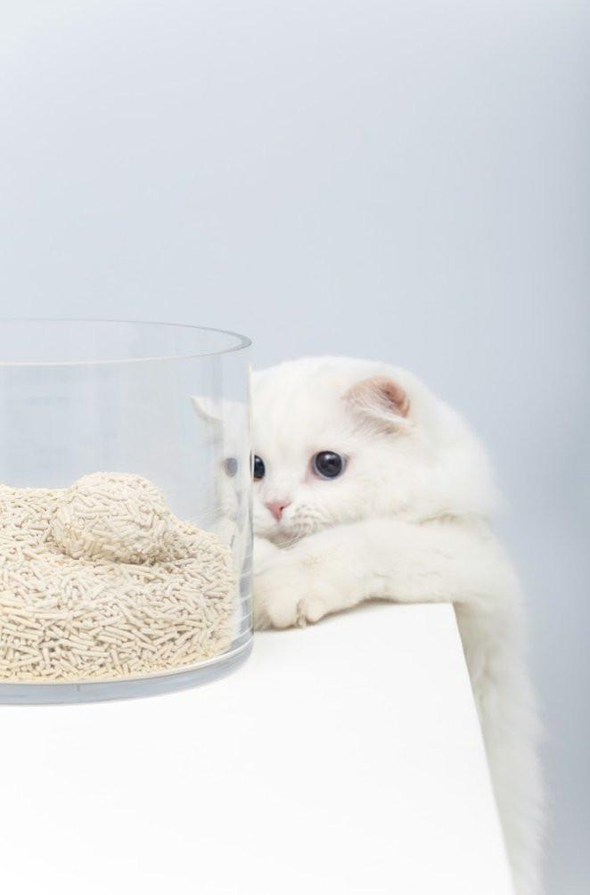 Gen3 6L Dust-Free and Natural Clumping Tofu Cat Litter - Peach