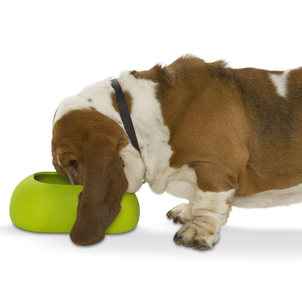 IncrediBowl Wet and Dry Food Bowl for Long Eared Dogs - Blue