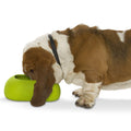 IncrediBowl Wet and Dry Food Bowl for Long Eared Dogs - Green