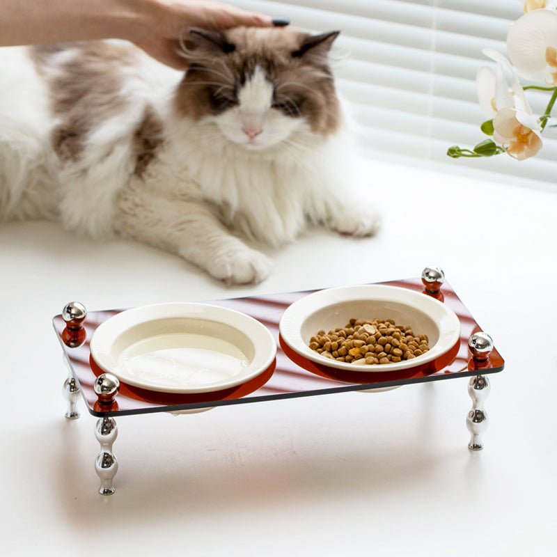 La Belle Raised Cat & Dog Bowl in Black & White
