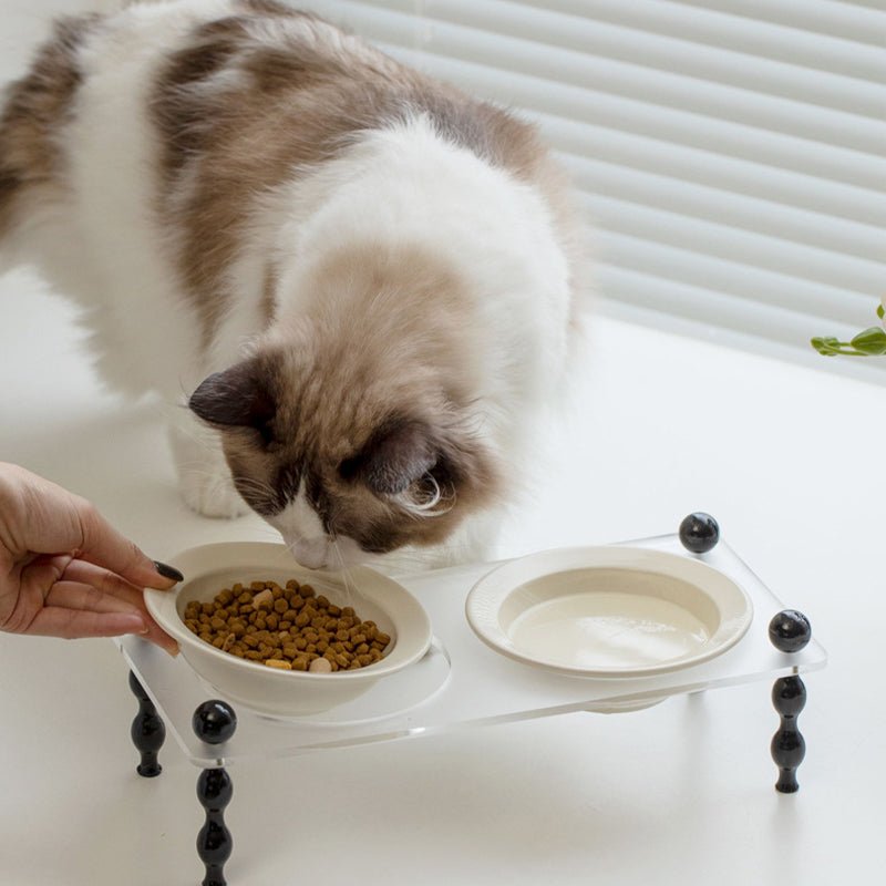 La Belle Raised Cat & Dog Bowl in Black & White