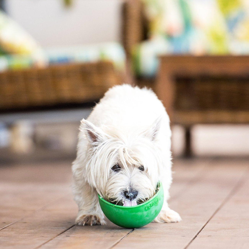 LickiMat Wobble Slow Food Bowl (4 Colours)