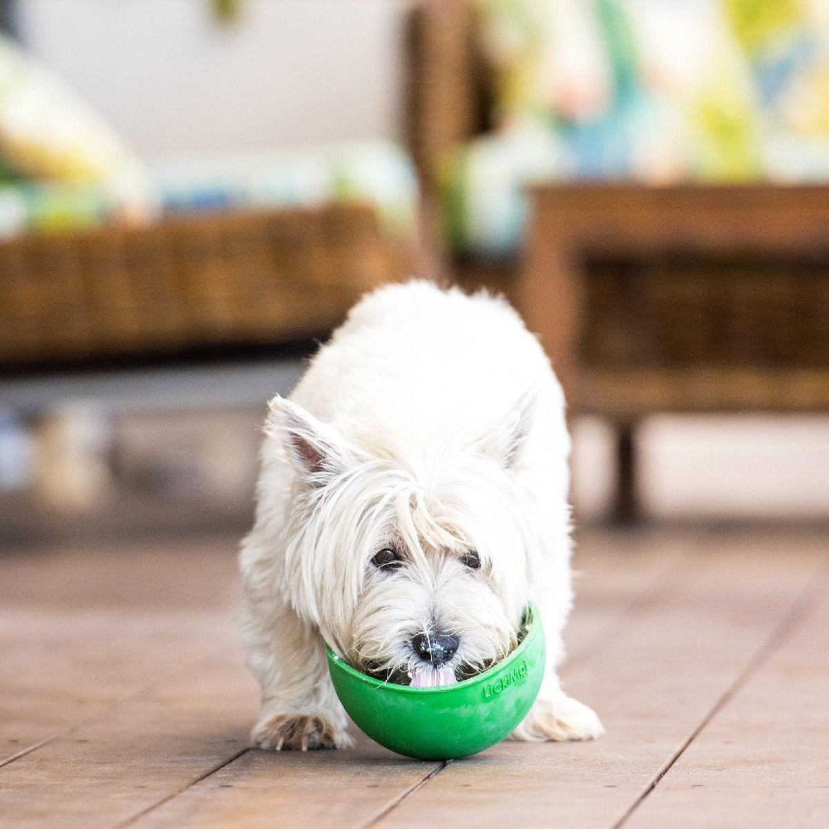 LickiMat Wobble Slow Food Bowl (4 Colours)