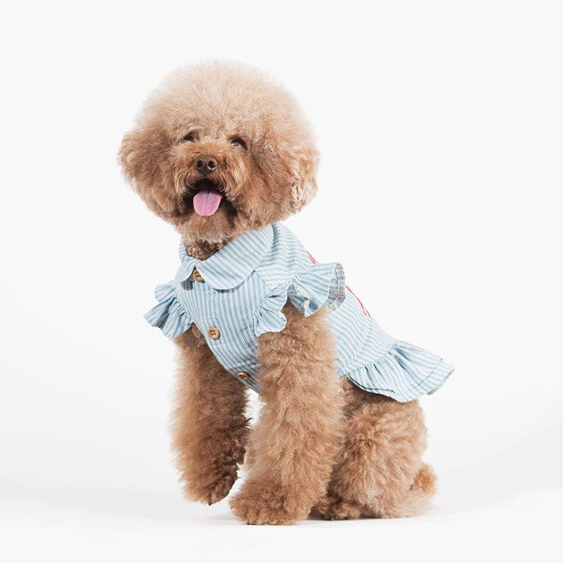 Light Denim Dog Dress