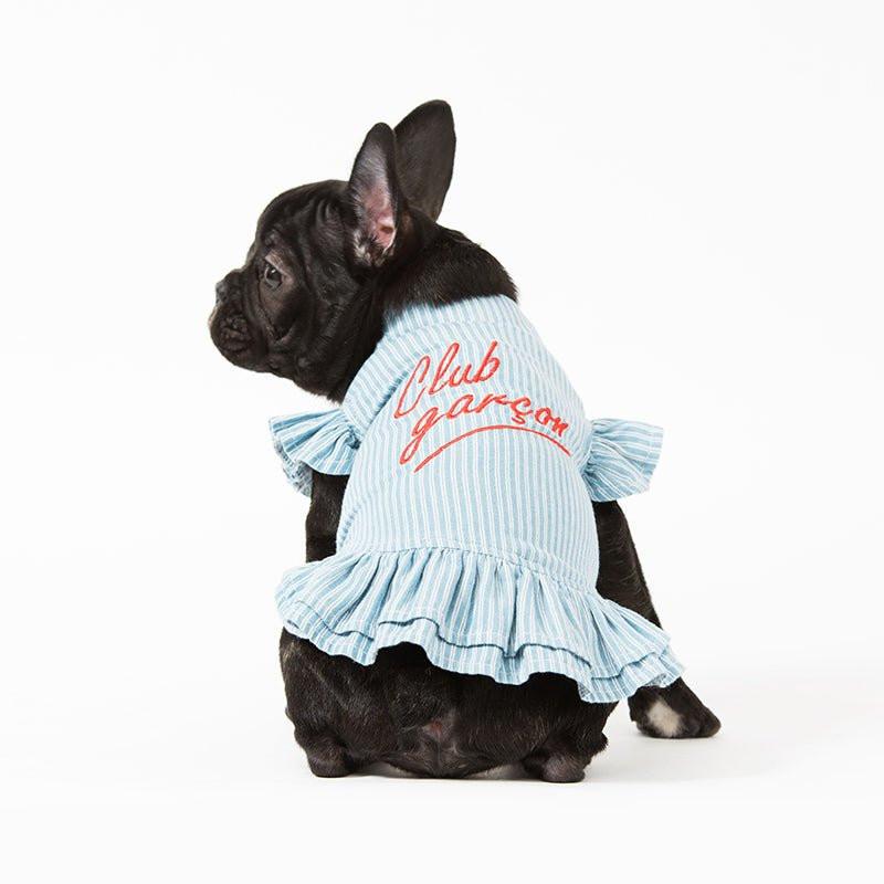 Light Denim Dog Dress