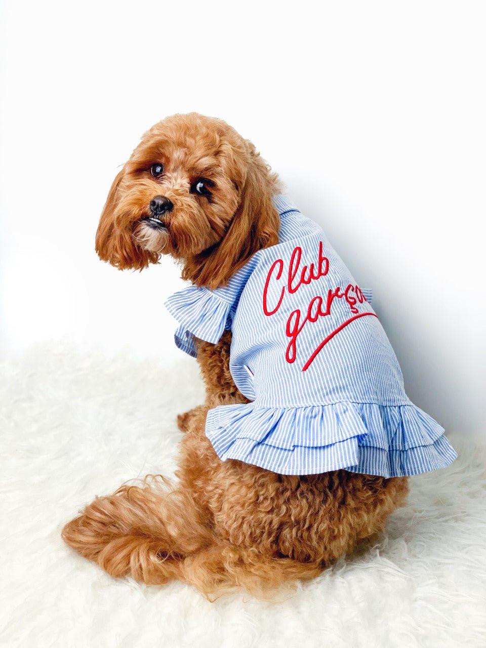 Light Denim Dog Dress