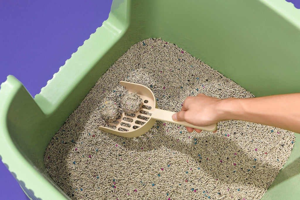 Long-Handle Cat Litter Scoop Boba