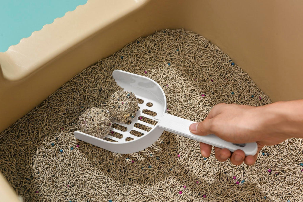 Long-Handle Cat Litter Scoop White