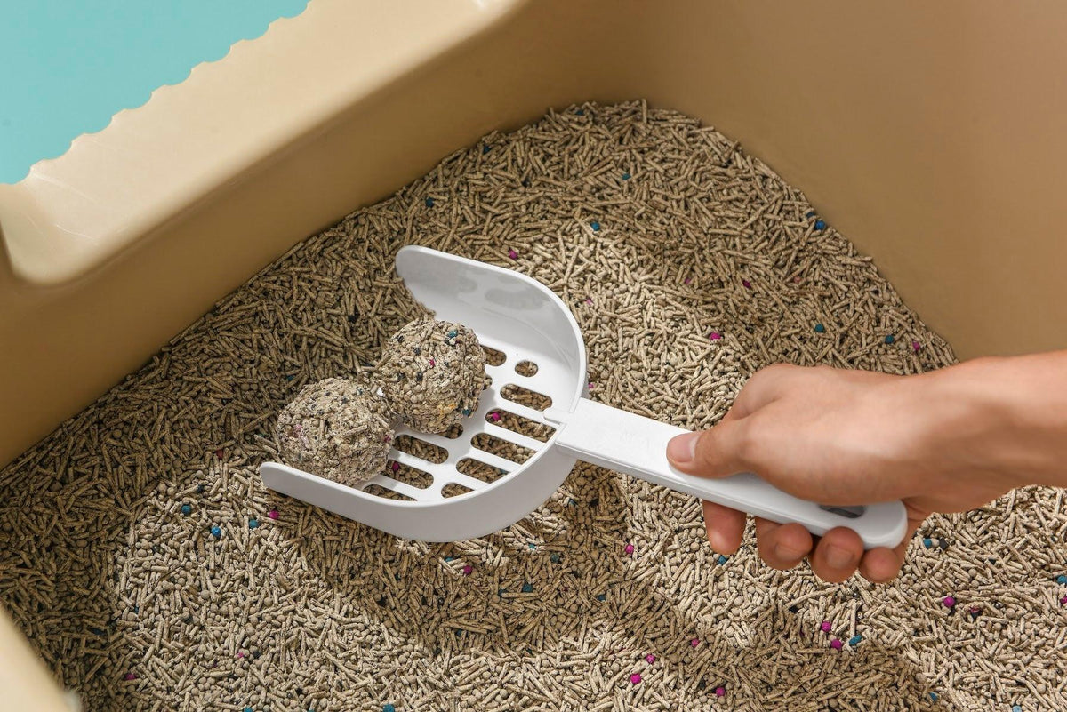Long-Handle Cat Litter Scoop White