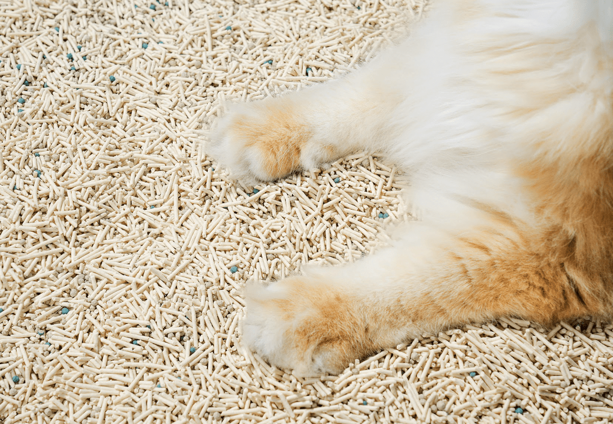 Mixed Tofu Cat Litter Lite 6L – Flushable, Eco-Friendly & Odour Control