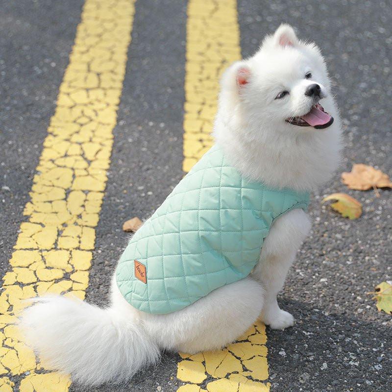 Padded Luxe Dog Vest - Black