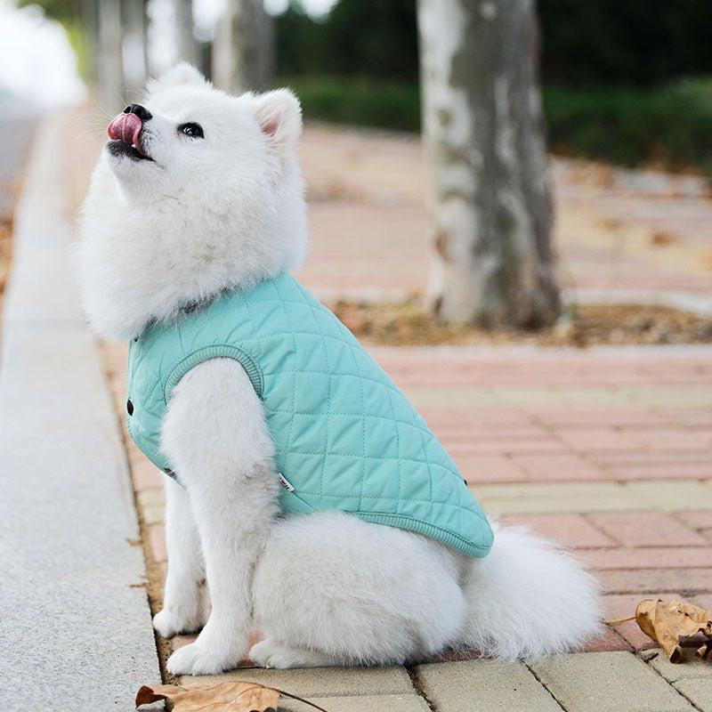 Padded Luxe Dog Vest - Blue
