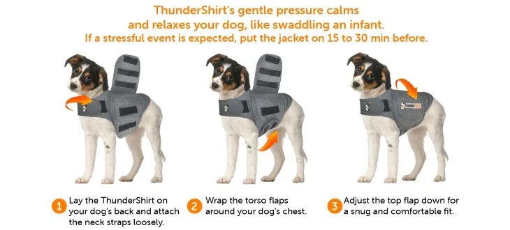 Adaptil Calming Shirt for Dogs