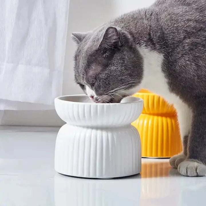 HOPD Ribbed Elevated Ceramic Cat Bowl in White