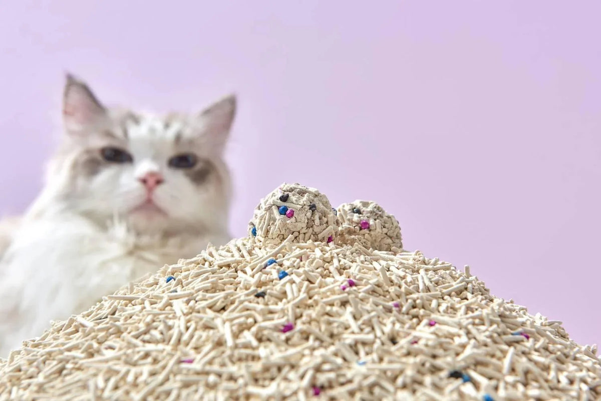 Premium Mixed Tofu Cat Litter Pro Gen2 6L- Value Box 5 kg