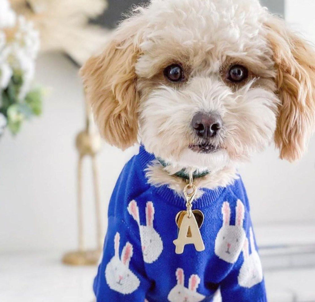Rabbit Print Dog Sweater - Blue