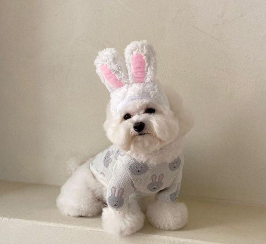 Rabbit Print Dog Sweater - Grey