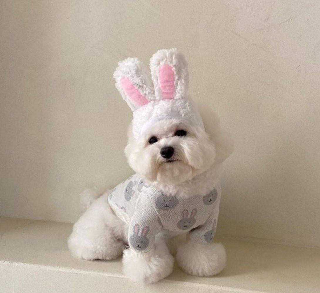 Rabbit Print Dog Sweater - Grey