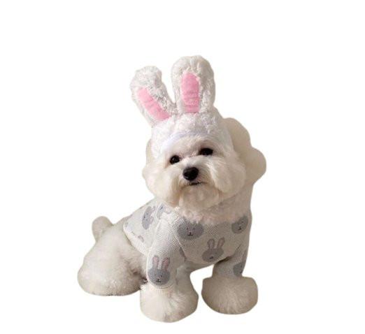 Rabbit Print Dog Sweater - Grey