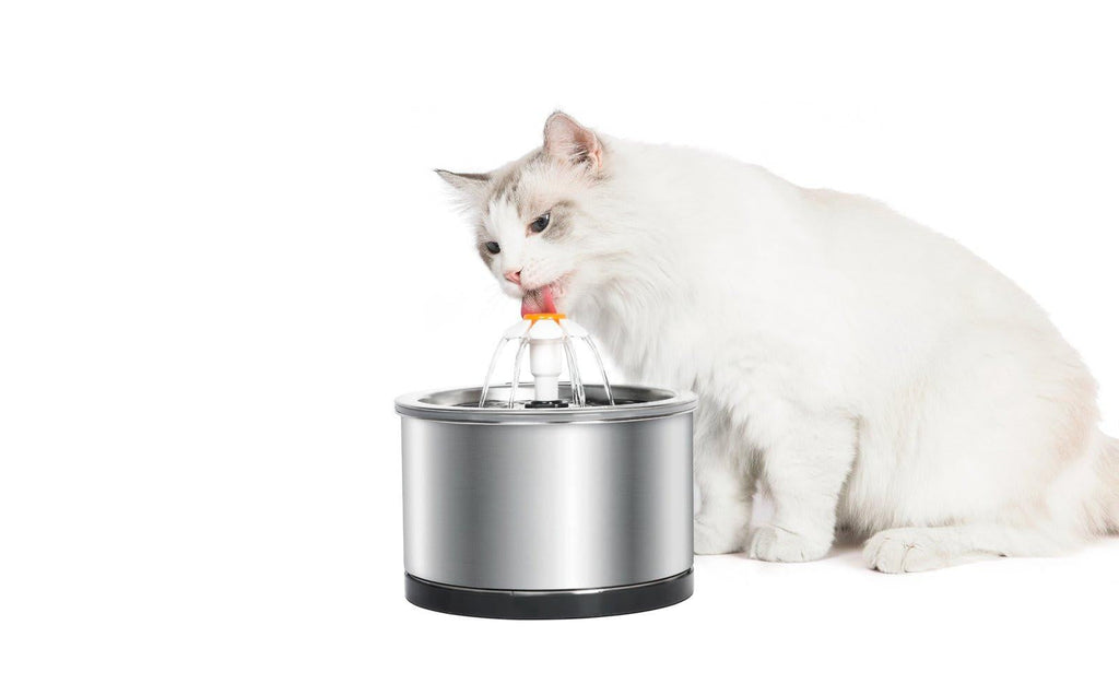 Stainless Steel Feeder Electric Pet Water Fountain