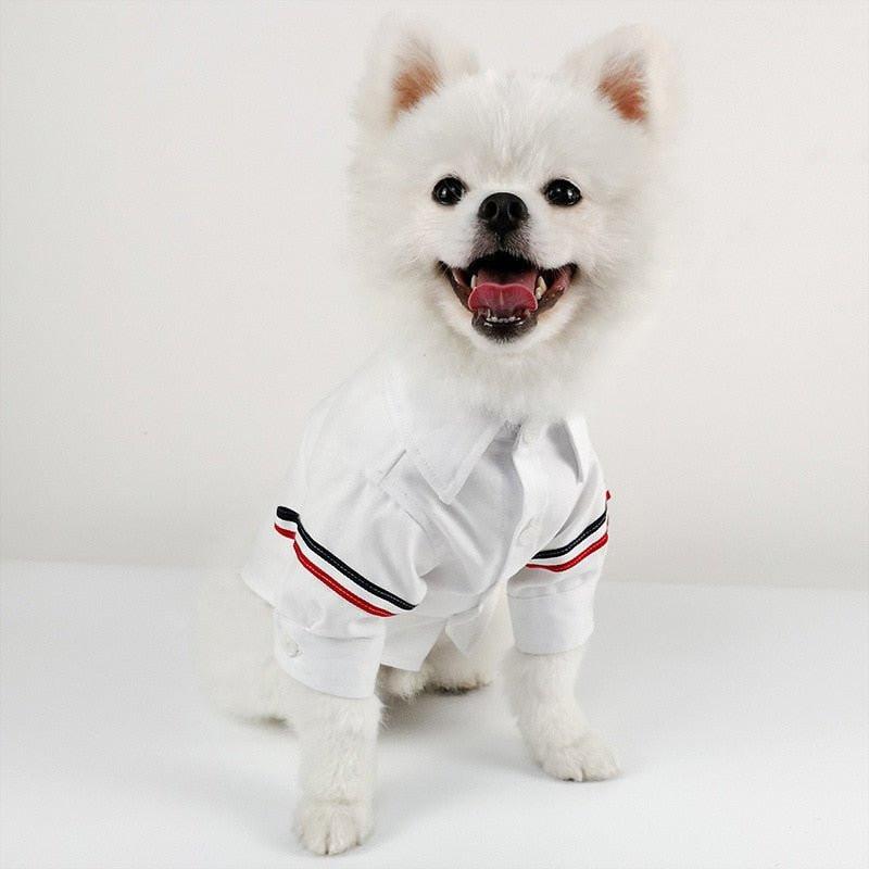 The Classic Dog Shirt