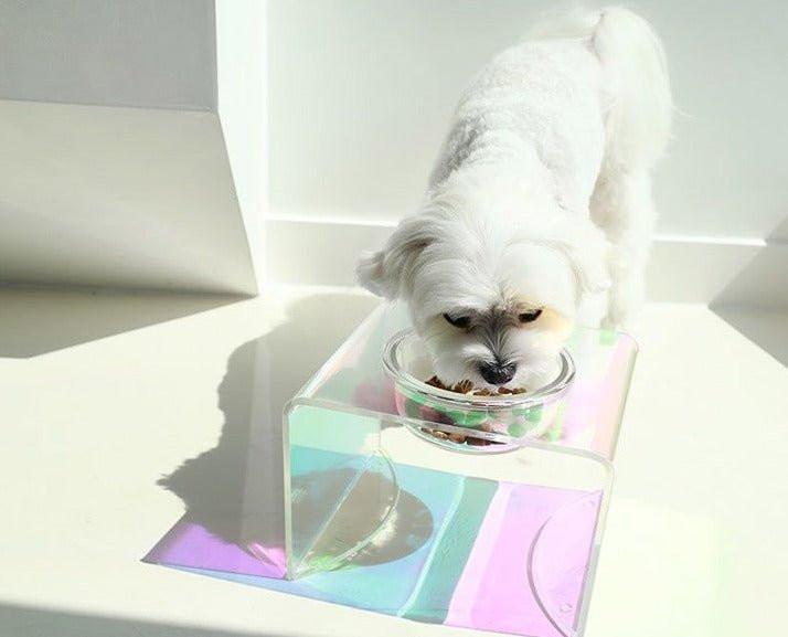 The Holographic Aurora Elevated Pet Feeding Table