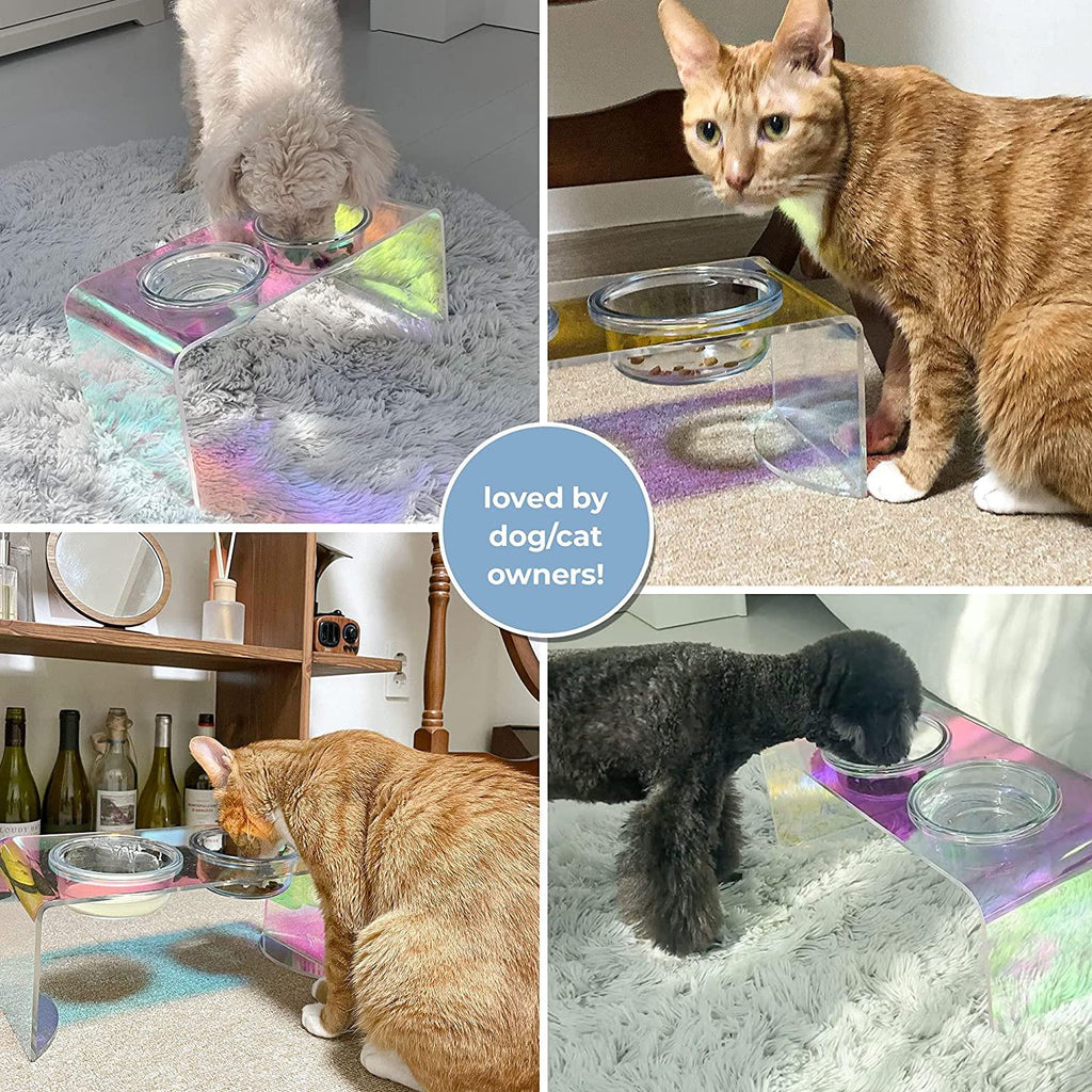 The Holographic Aurora Elevated Pet Feeding Table