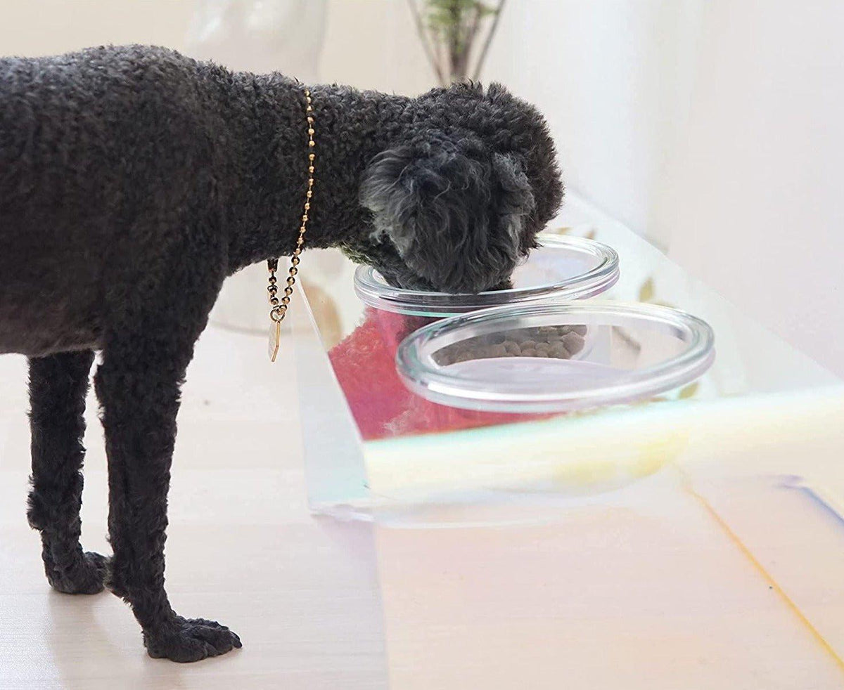 The Holographic Aurora Elevated Pet Feeding Table
