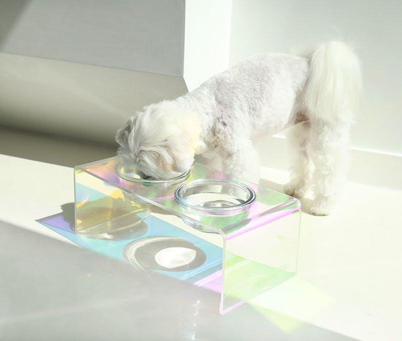 The Holographic Aurora Elevated Pet Feeding Table