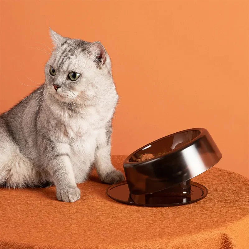 Ibiyaya Tilt-n-Serve Pet Feeding Bowl