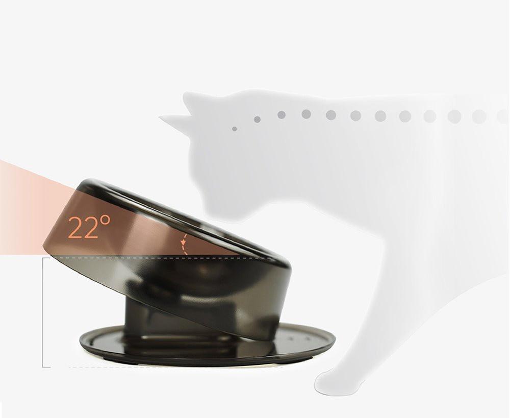 Ibiyaya Tilt-n-Serve Pet Feeding Bowl