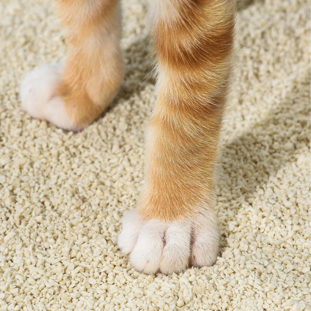 Tofu Cat Litter for Kittens and Small Animals, Natural Crushed Formula, Plant-Based & Safe if Ingested 2.5kg/6L