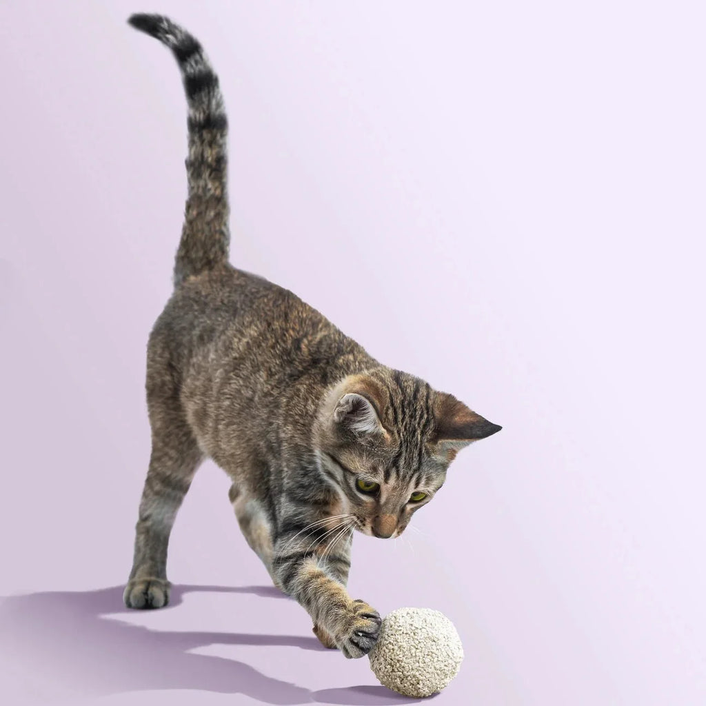 Tofu Cat Litter for Kittens and Small Animals, Natural Crushed Formula, Plant-Based & Safe if Ingested 2.5kg/6L